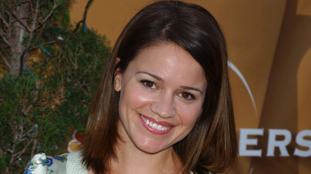 How CSI: NY Smoothed Over Anna Belknap's Real-Life Pregnancy On Screen