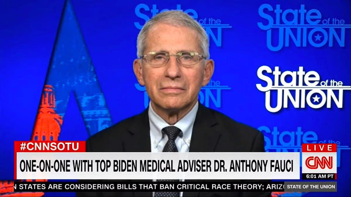 Jake Tapper mocks Laura Ingraham's intelligence in text to Fauci