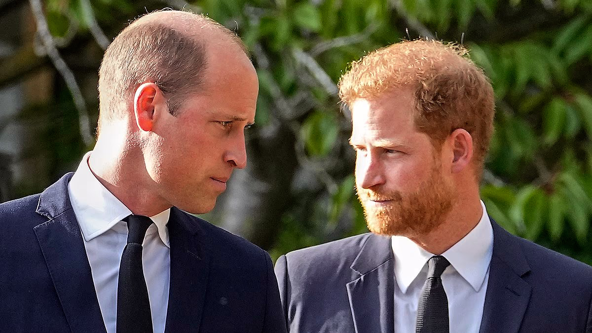 Just 4% believe William should make first move to peace with Harry