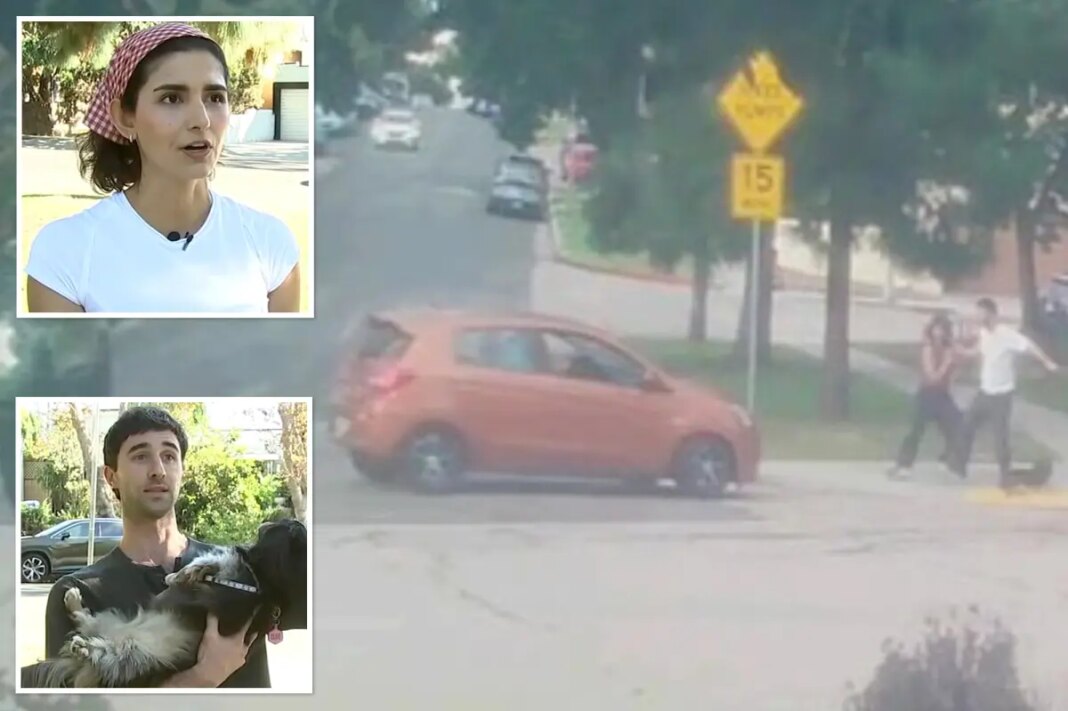 LA driver allegedly tries to run over couple and dog after road-rage spat