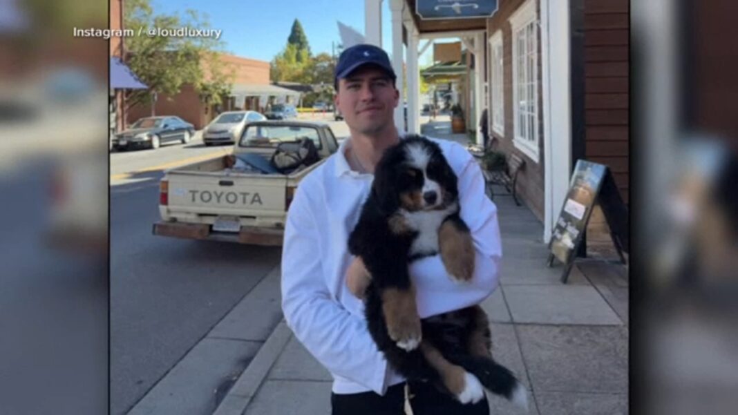 Loud Luxury DJ Andrew Fedyk, influencer wife Madeleine accuse trainer of negligence after death Bernese Mountain dog Dunkin