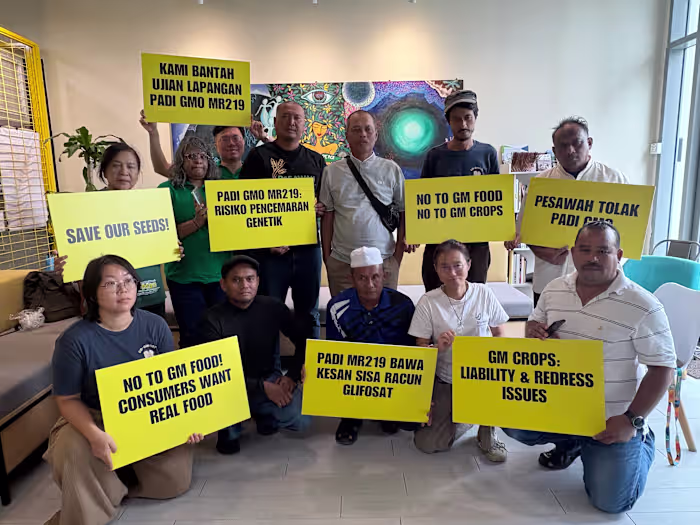 Malaysian farmers, environmental groups call for rejection of GMO rice trial