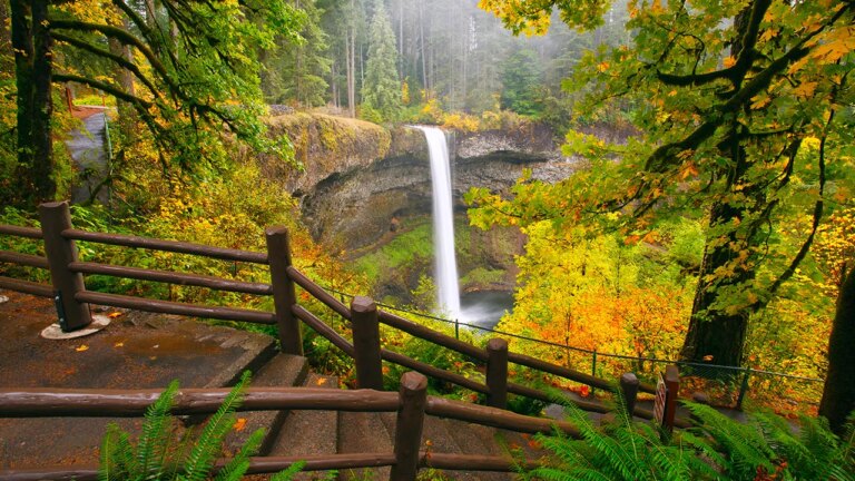 Tragic Accident Claims Life of Young Man at Oregon Waterfall