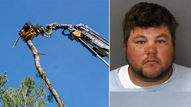 Minnesota Tree Trimmer Faces Charges After Deadly Horseplay Incident with Coworker