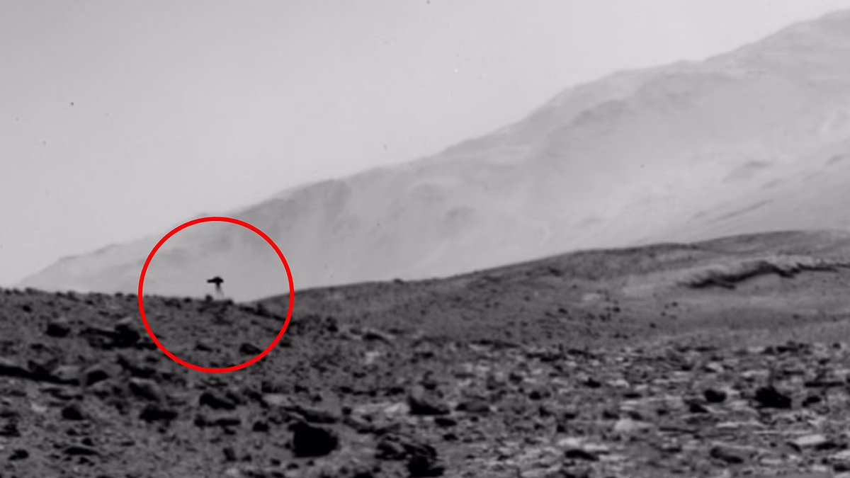 Mysterious 'jellyfish' in NASA photo sparks theories of life Mars