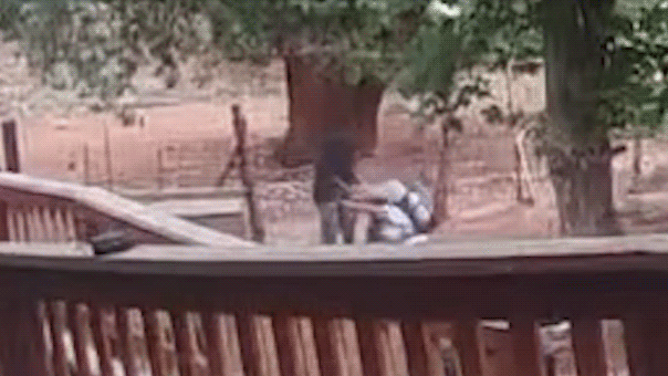 a gif shows the moments of an attacker trying to drag a woman by the hair