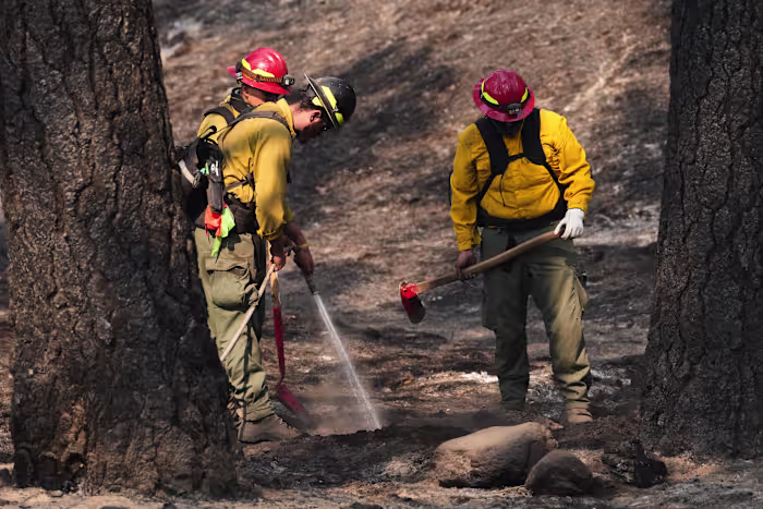 Officials warn wildland firefighters about the risks of using a supplement for smoke exposure