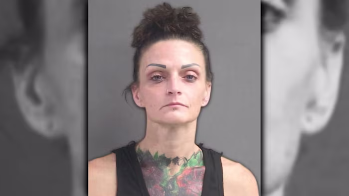 Owner in DeLand dog attack that killed 8-year-old arrested again on drug charges