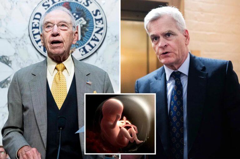Pro-Life Advocates Demand Probe into NIH’s Use of Aborted Fetal Tissue for Research