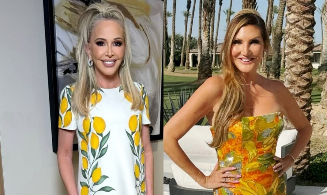 RHOC's Shannon Beador Reveals Why She Stopped Speaking to Heather McDonald and Recalls Their Recent Interaction Before the Mocking Video