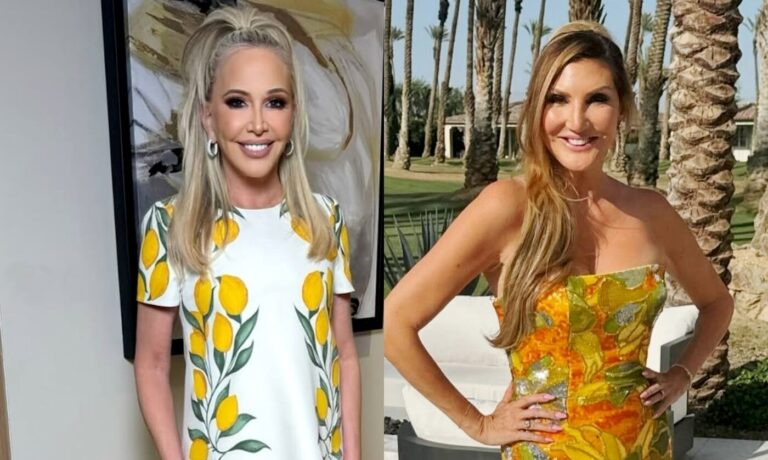 Shannon Beador Explains Rift with Heather McDonald and Their Heated Encounter Before Viral Mocking Video
