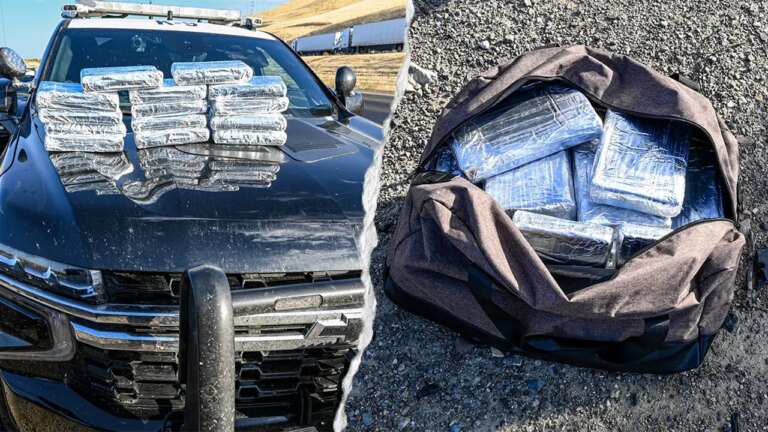 California Traffic Stop Leads to Stunning Discovery of $800K Cocaine Haul
