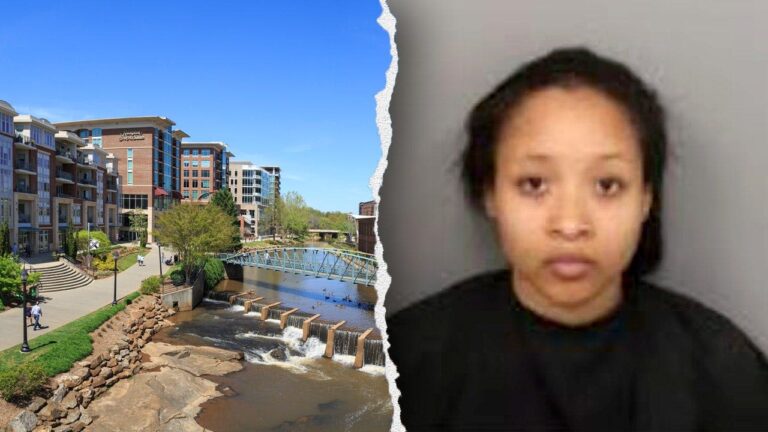 South Carolina Woman Accused of Stabbing Lyft Driver 11 Times Cites Mental Health Crisis