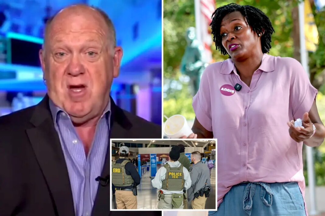 Tom Homan fires back at Florida Democrat Angie Nixon over 'ridiculous' ICE racial profiling claim