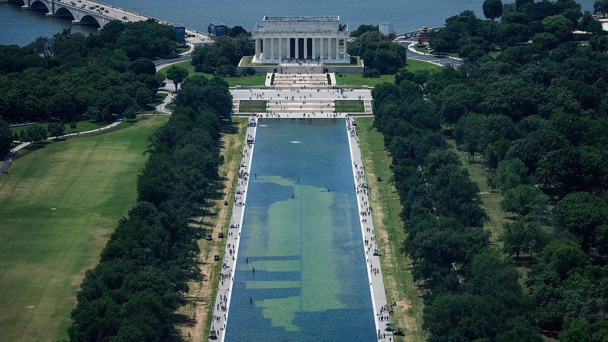 Trump makes brazen Reflecting Pool claim and calls out Jeanine Pirro