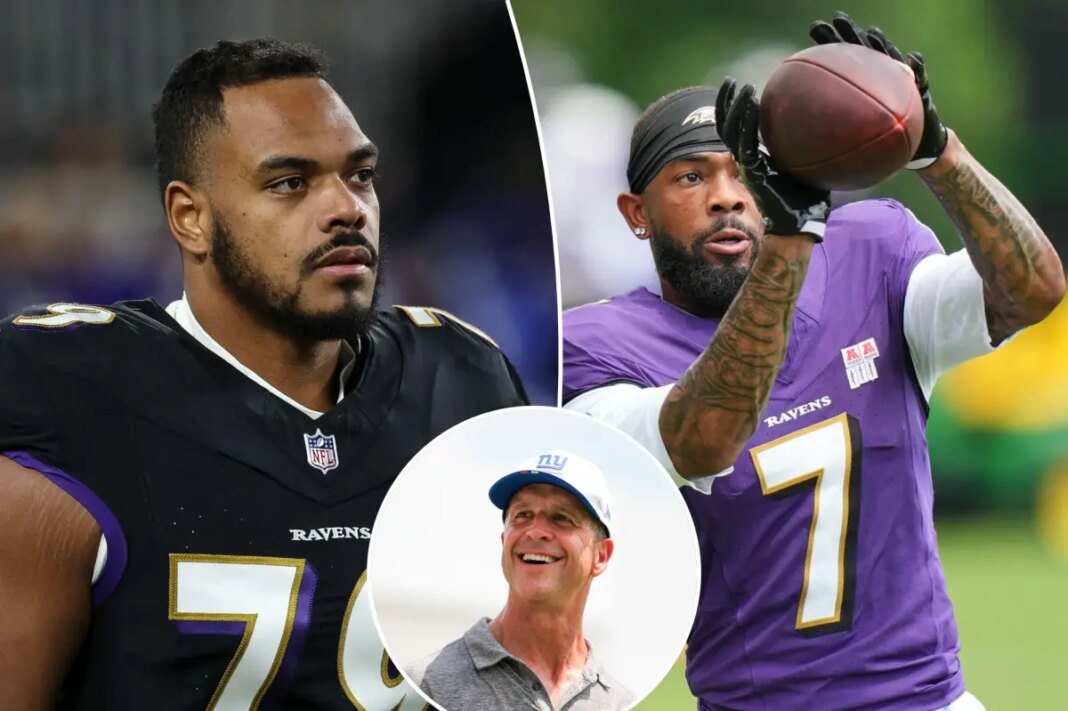Two Ravens take veiled shots at John Harbaugh after firing