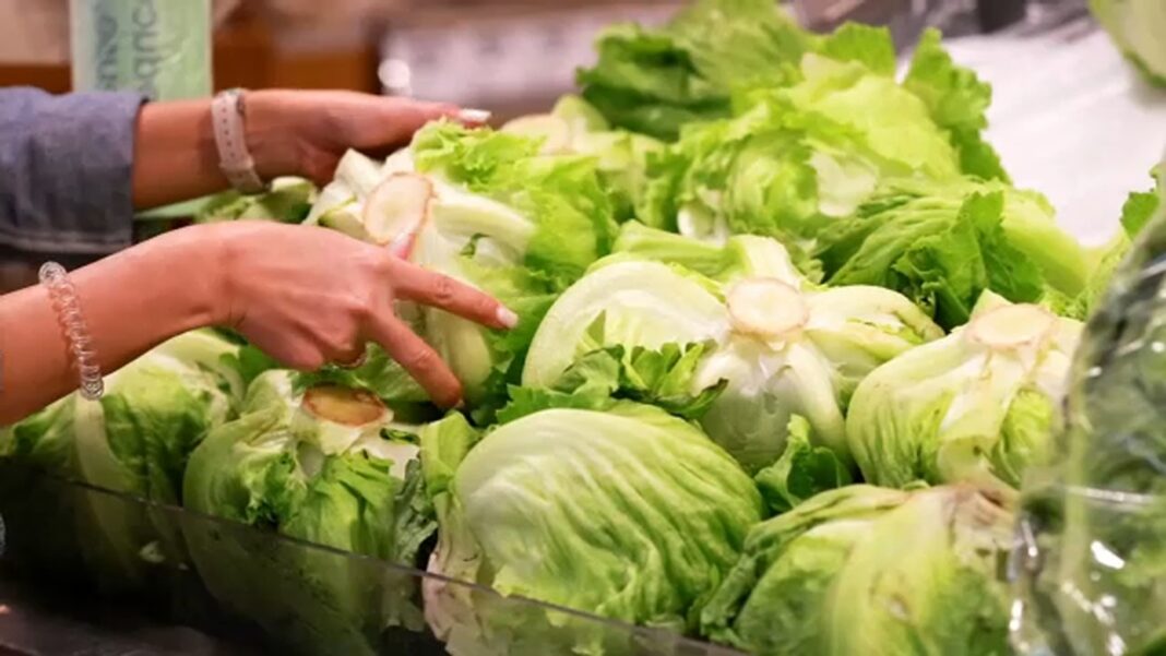 With several foodborne illness outbreaks nationwide, here's how to avoid getting sick