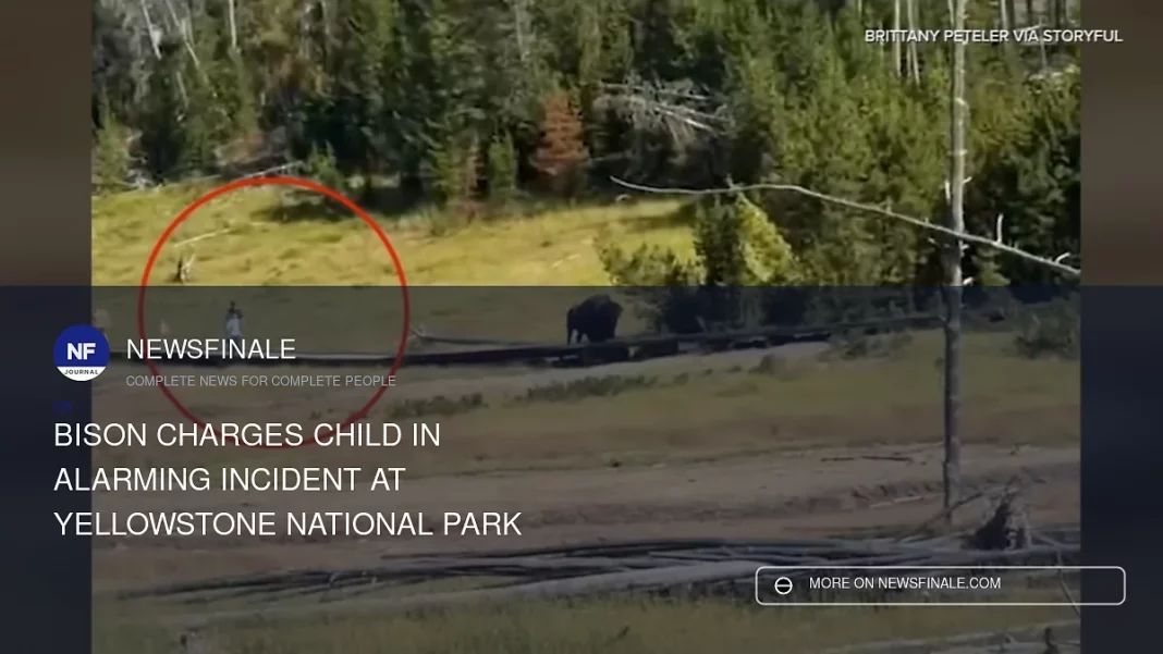 Bison Charges Child in Alarming Incident at Yellowstone National Park - NewsFinale