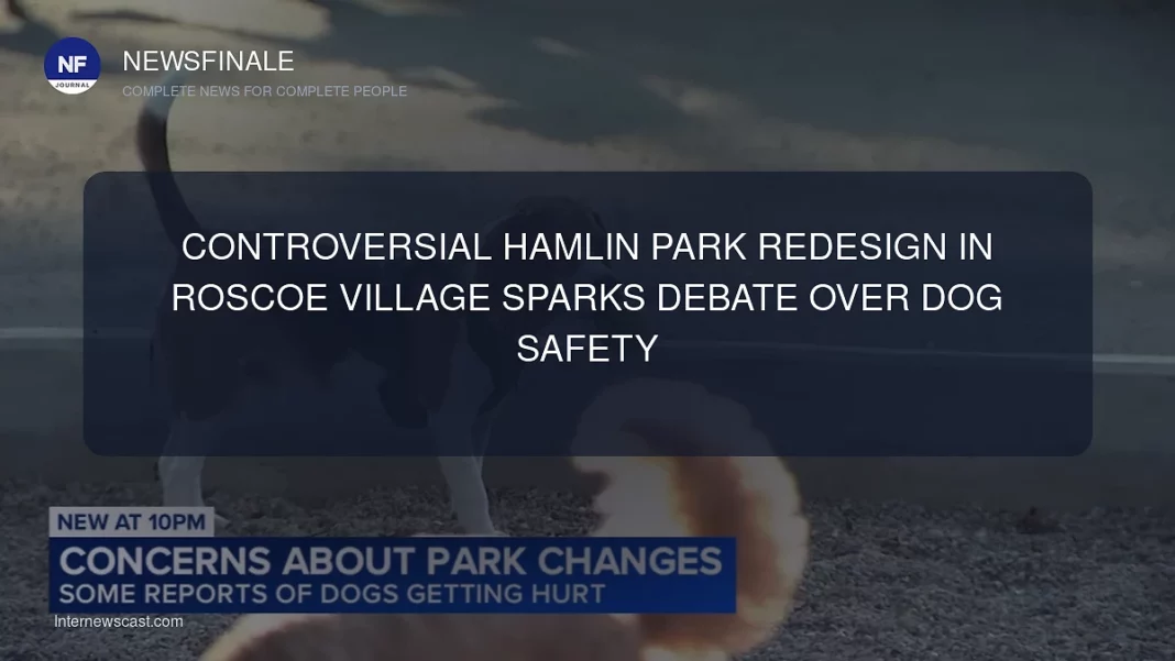 Controversial Hamlin Park Redesign in Roscoe Village Sparks Debate Over Dog Safety - NewsFinale