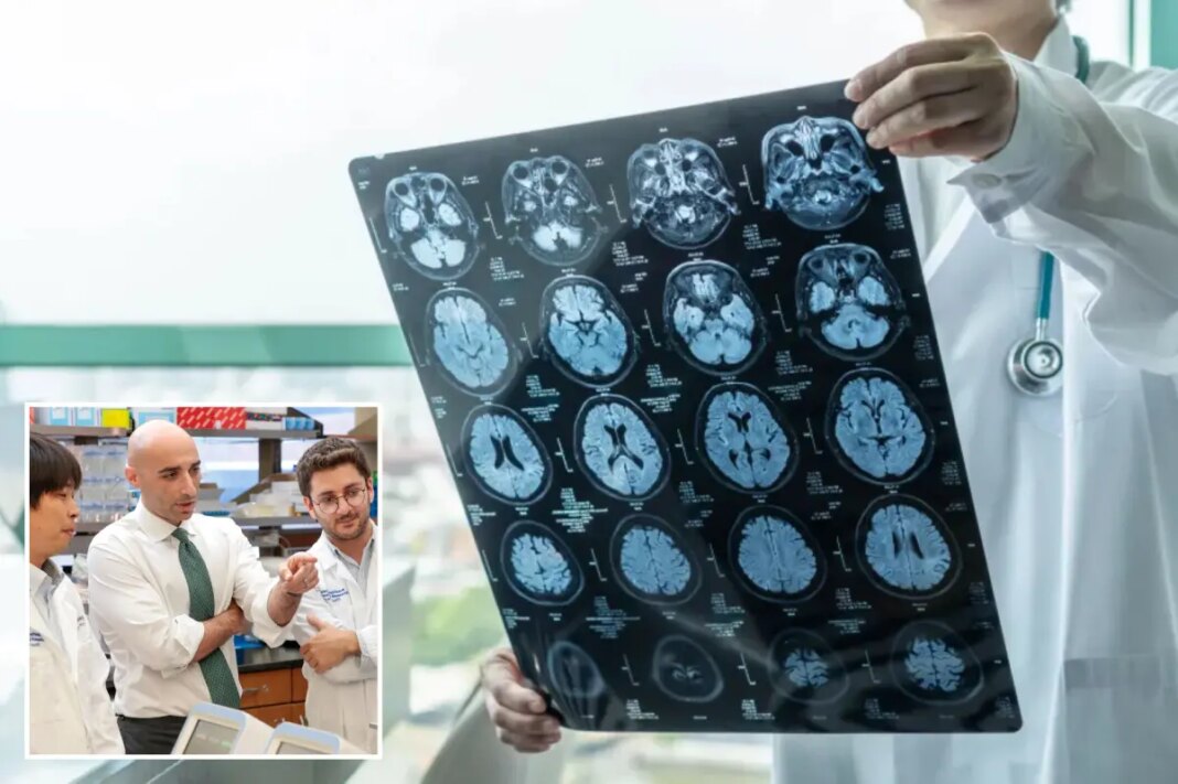 A special diet could help slow the growth of one of the deadliest brain tumors