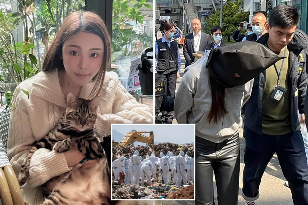 Abby Choi's ex-husband and in-laws on trial for Hong Kong socialite's murder