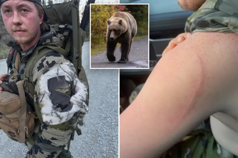 Alaska Moose Hunter Survives Bear Attack After Blacking Out