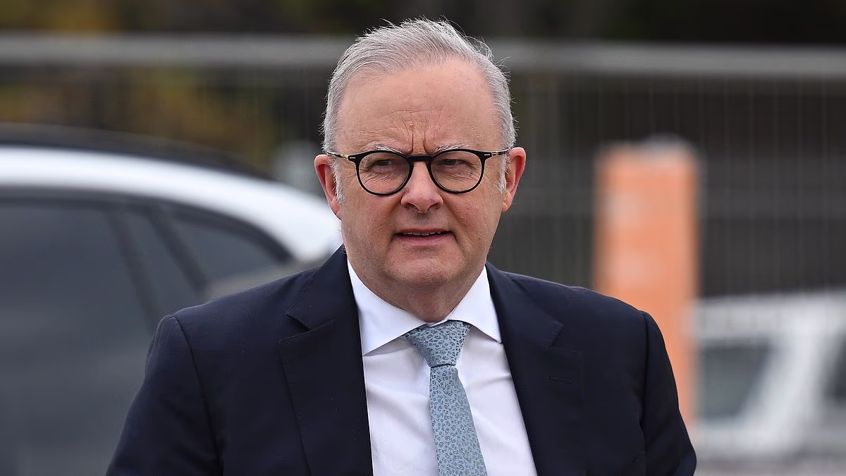 Albo risks throwing away a glimmer of hope in inflation figures: PVO