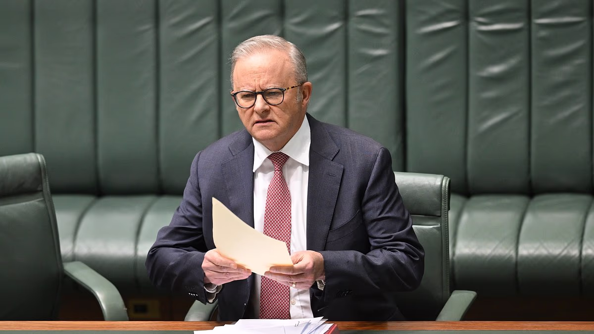Anthony Albanese to announce huge migration crackdown tomorrow