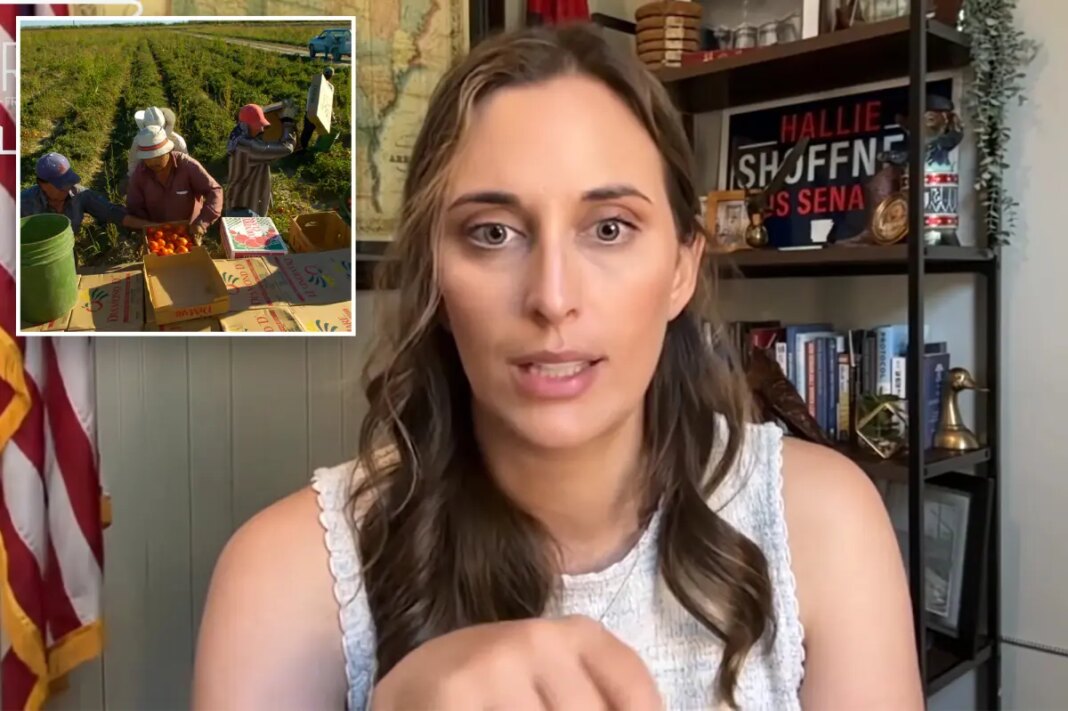 Arkansas Dem Senate candidate Hallie Shoffner suggests illegal migrants should replace American workers