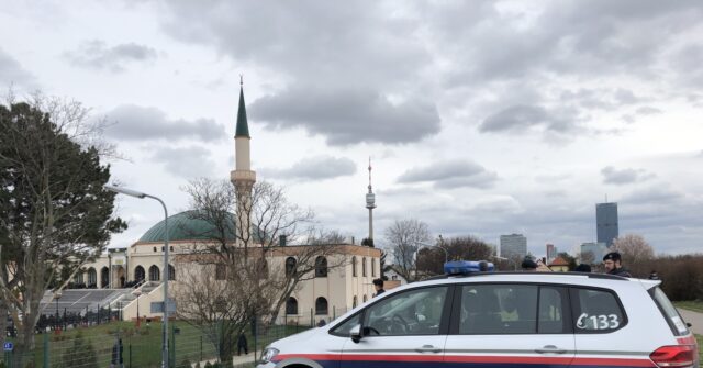 Austria Plans to Ban 'Political Islam' in Bid to Confront Muslim Brotherhood