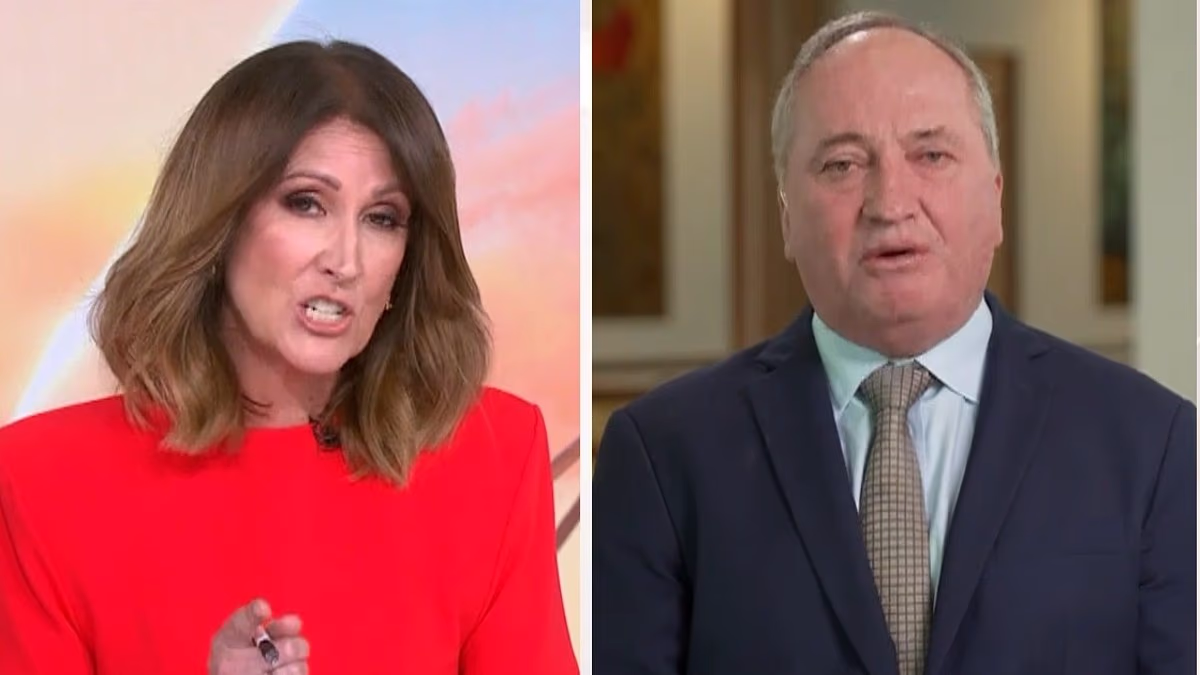 Barnaby Joyce stands by Pauline Hanson over public housing comments
