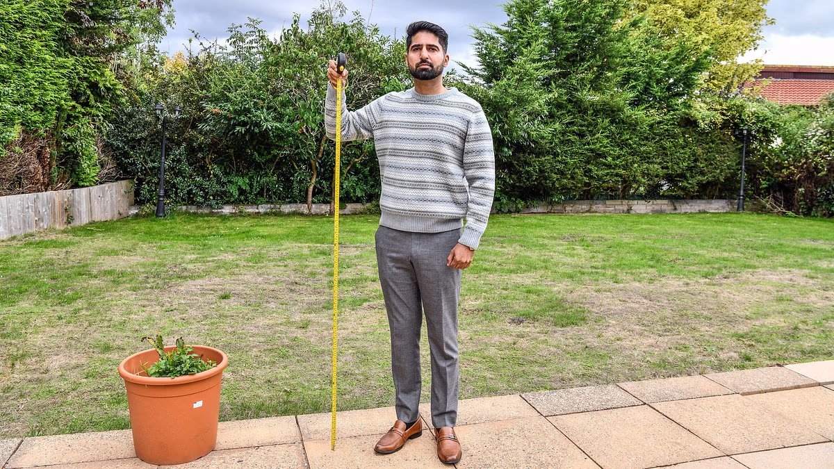 Bollywood actor faces having garden of his £900,000 home torn apart