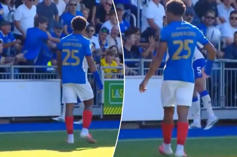 Cardiff City’s Krystian Bielik Seemingly Grabs Fan by Throat in Bizarre Incident
