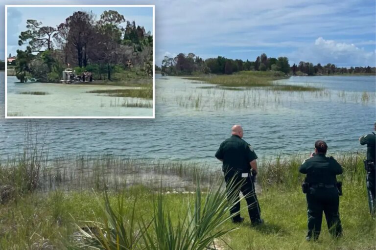 Child Hospitalized After Alligator Attack in Florida on Labor Day