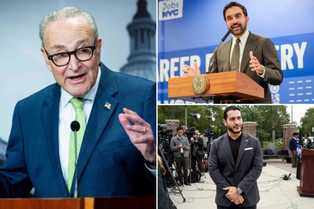Chuck Schumer's definition of 'antisemite' could include Mamdani, Senate hopeful El-Sayed