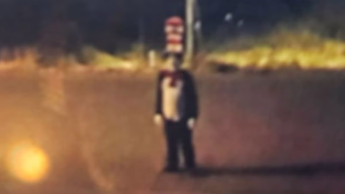 Creep wearing Cat in the Hat costume wanted for chasing teen girl
