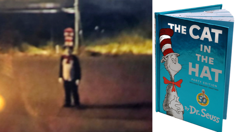 ‘Cat in the Hat’ Trend Alarms Schools After Teen Chase
