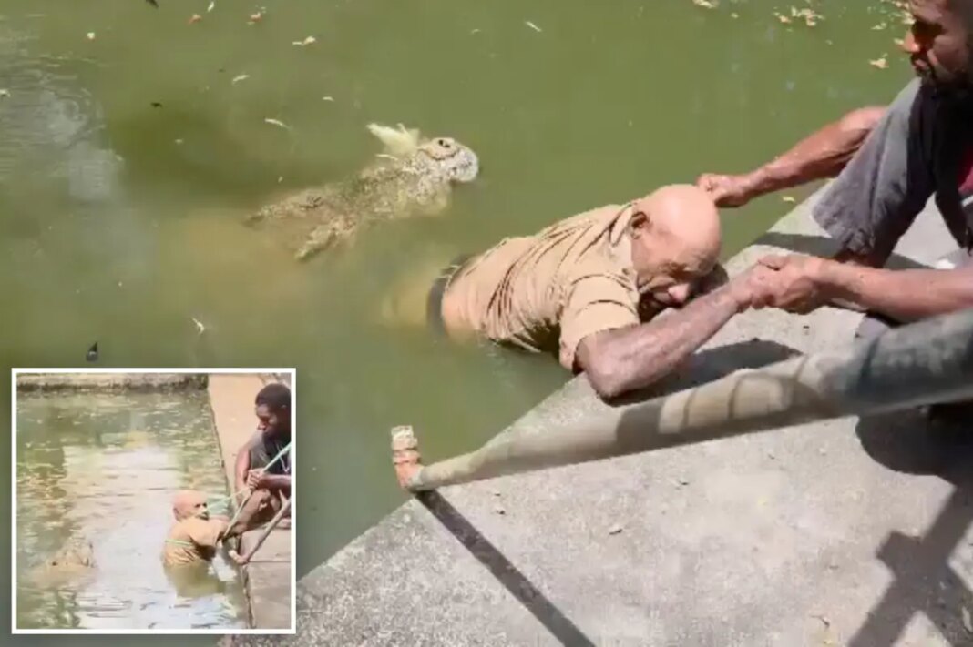 Crocodile chomps on handler's legs as he fights for his life