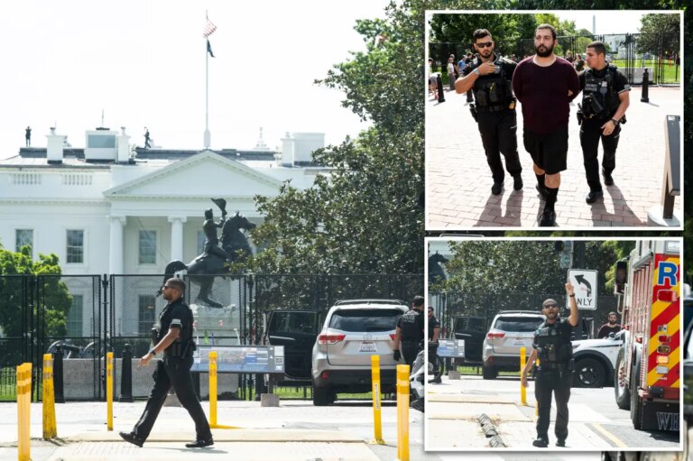 Driver Allegedly Drives Onto Sidewalk Near White House, Police Say