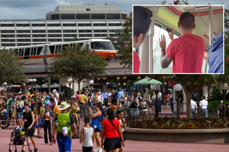 Disney World Monorail Stalls After Lightning Strike, Stranding Guests