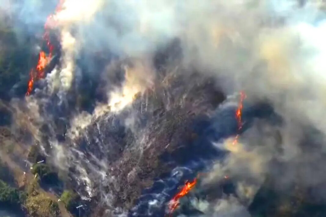 Fire spreads near Getty Center and 405 Freeway causing traffic backup