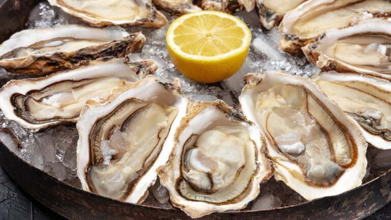 Fourth Florida Resident Dies From Oyster-Linked Flesh-Eating Bacteria Infection