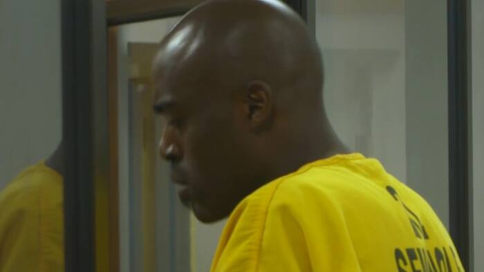 Geneva arson suspect held in jail on no bond as death toll of dogs reaches 15