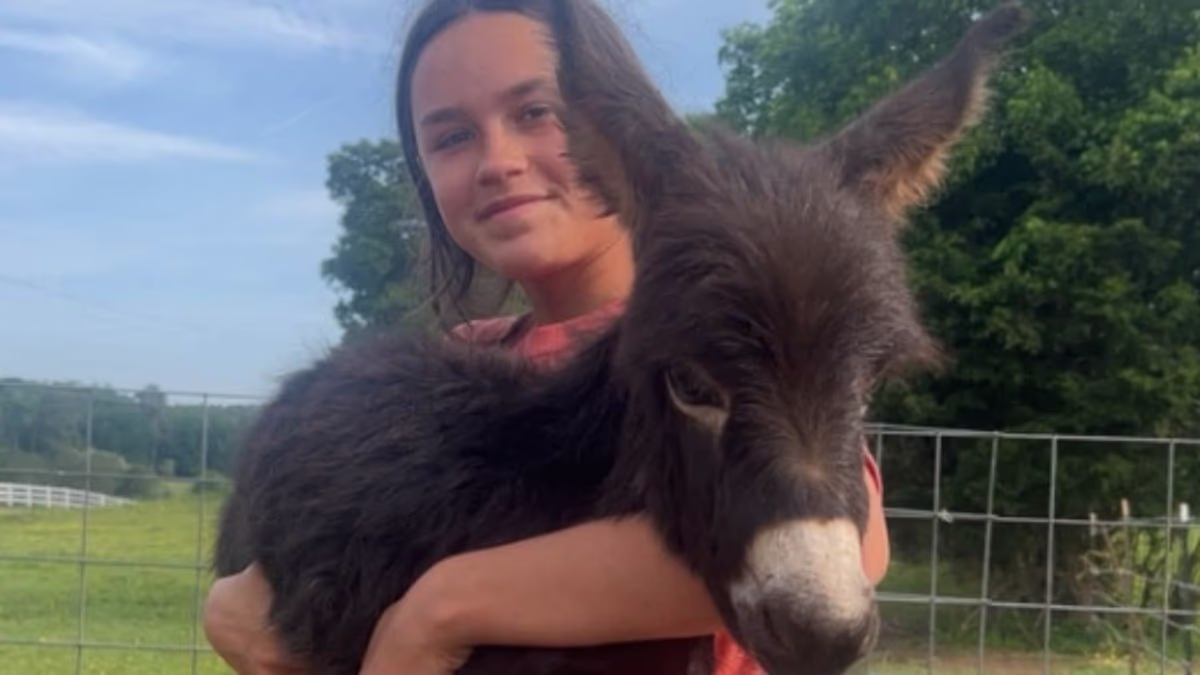 Georgia cop who shot and killed baby donkey named Heehaw is named