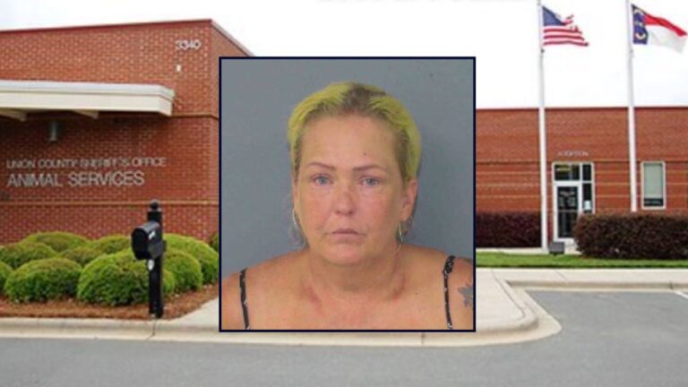 Grandma Left Infant in 96-Degree Hot Car, Sheriff Says