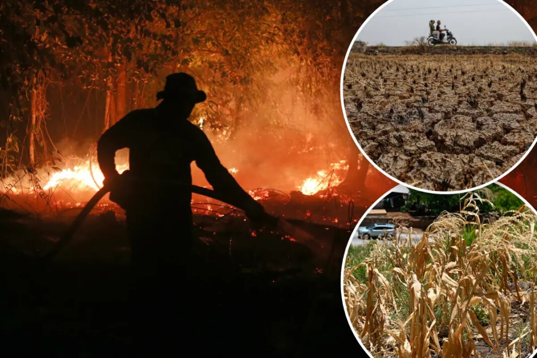 Hottest El Niño on record could kill up to 451,000 people in six months: scientists