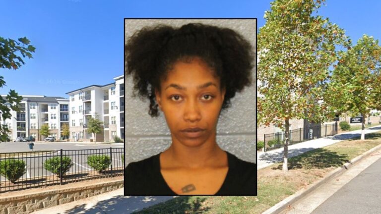 Mother Says 7-Month-Old Was Intubated With Skull Fracture Hours After FaceTime With Babysitter, Police Say