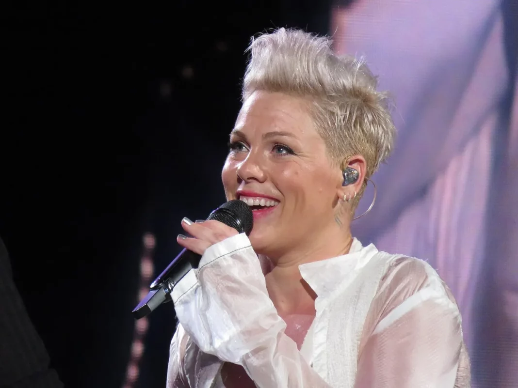 How Did Pink Get Involved in the Ed Sheeran–Macklemore Controversy?