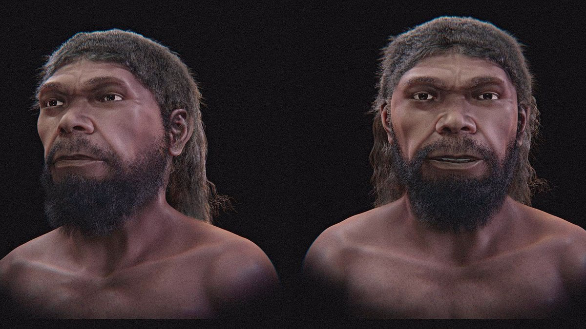Human who lived 315,000 years ago comes back to life in reconstruction