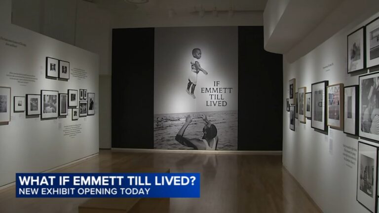 New Chicago Exhibit Imagines Emmett Till’s Life If He Had Not Been Murdered in 1955